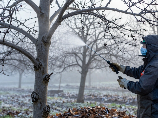 Чем лучше обрабатывать деревья ранней весной: безопасные и эффективные средства