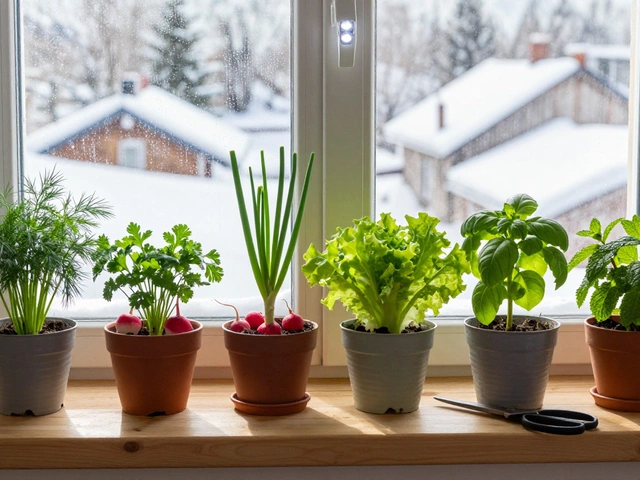 Что быстро растет на подоконнике: 7 лучших растений для дома за 2025 год
