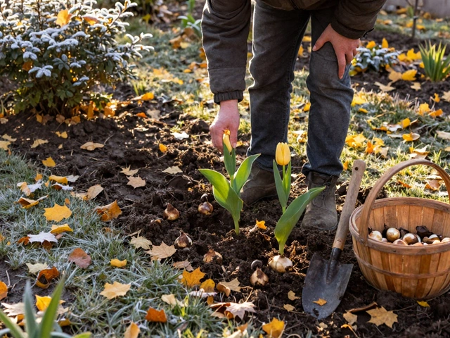 Какие цветы можно сажать поздней осенью в России