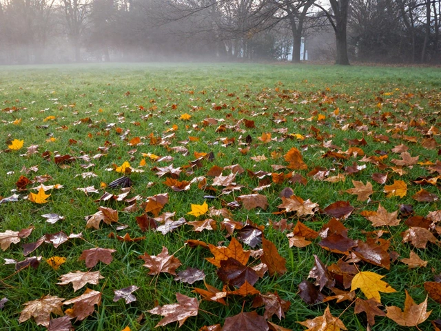 Что будет, если не убирать листья с газона: последствия и как избежать проблем